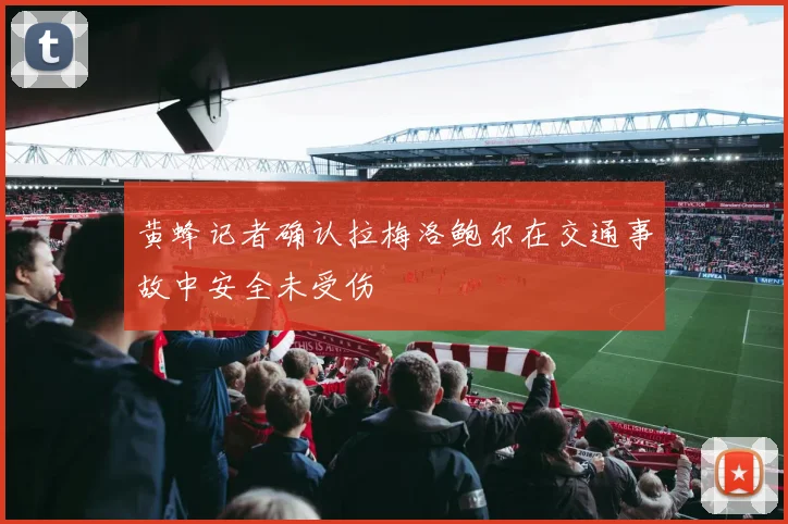 黄蜂记者确认拉梅洛鲍尔在交通事故中安全未受伤